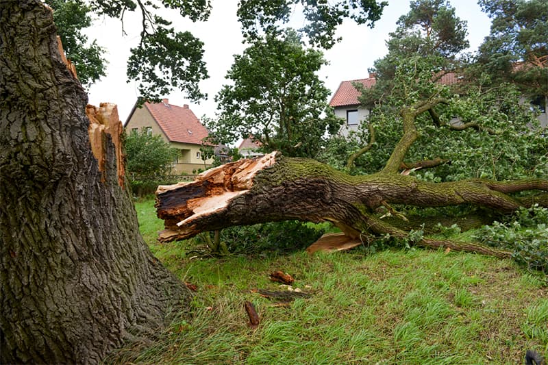 Skade efter storm