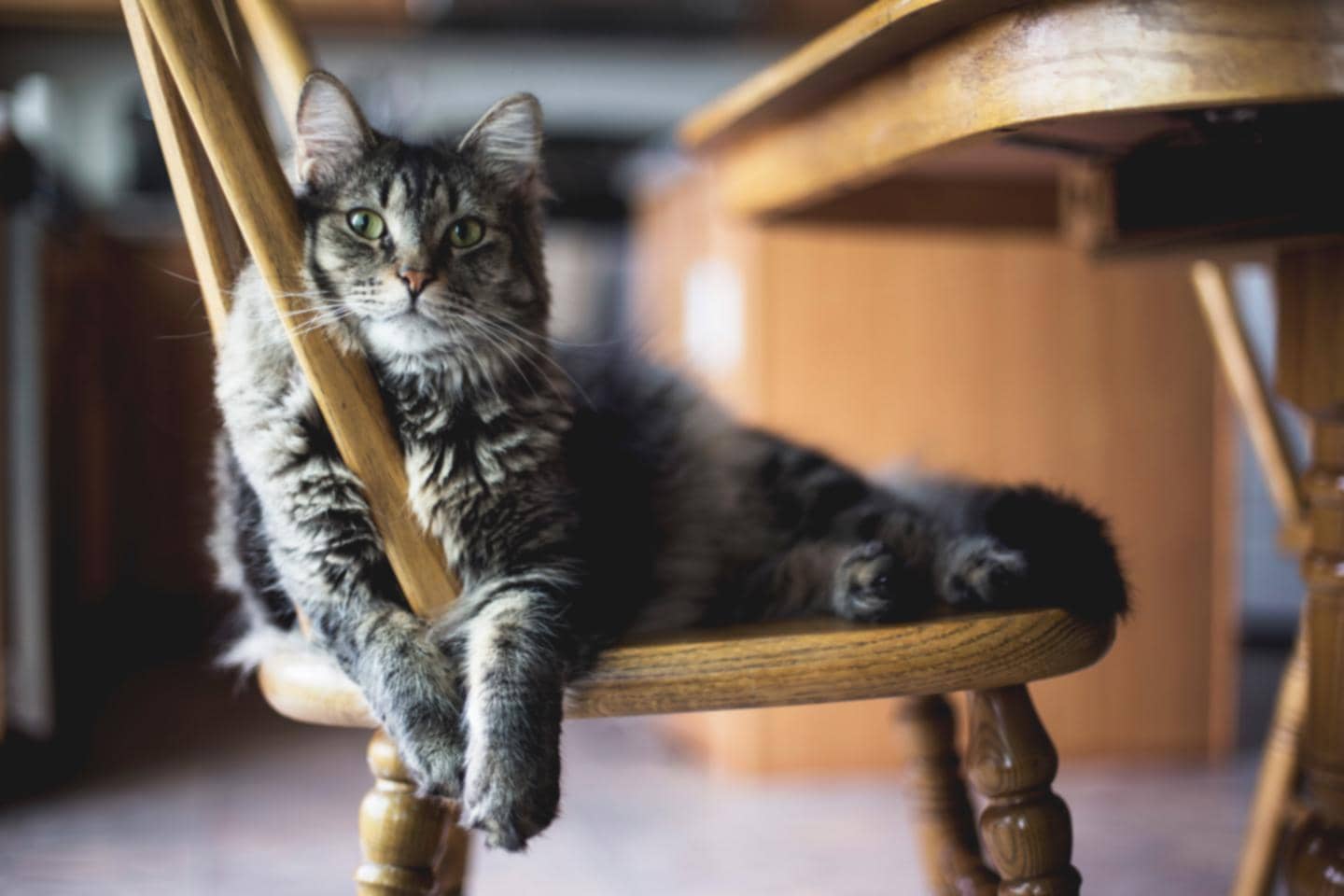 Foto: Kat