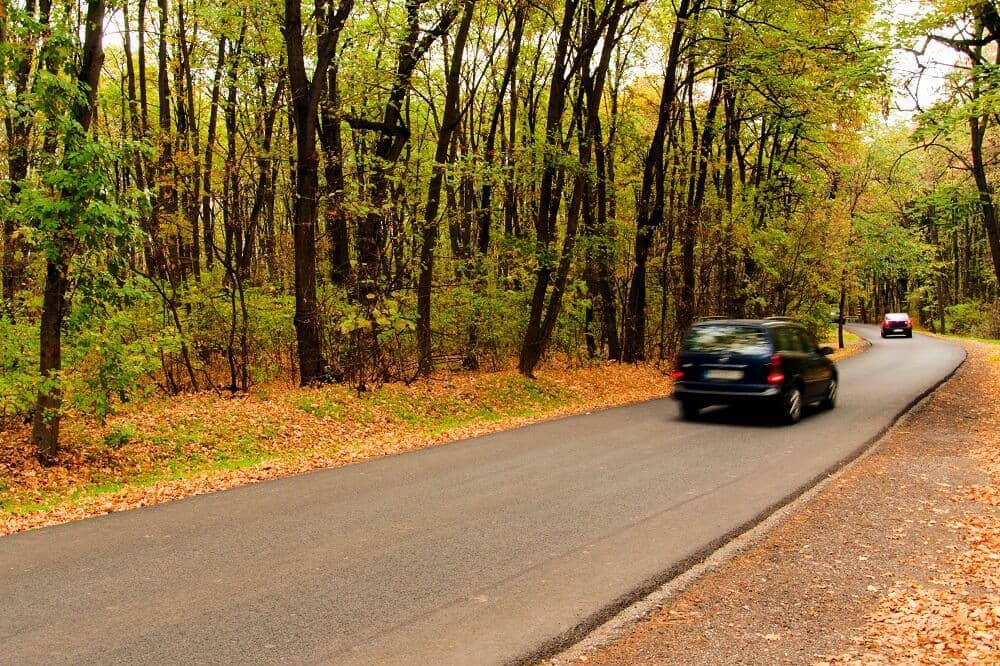 Biler med vildtfløjte