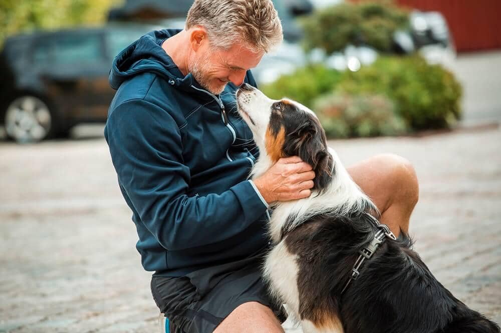 Hund og ejer