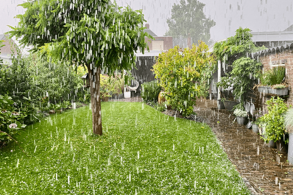 Kraftig regn