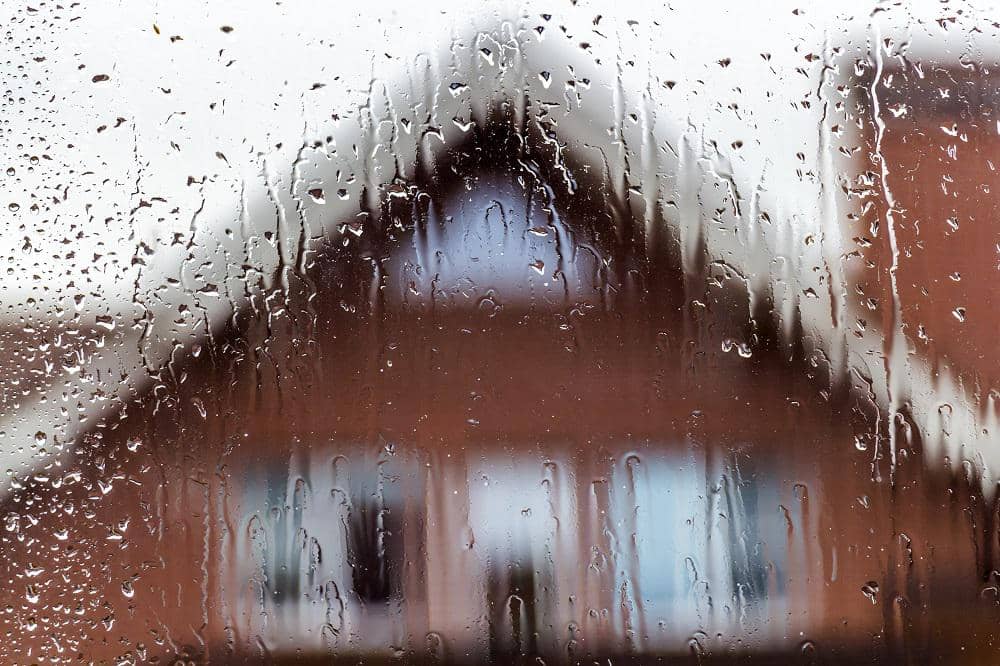 Regn