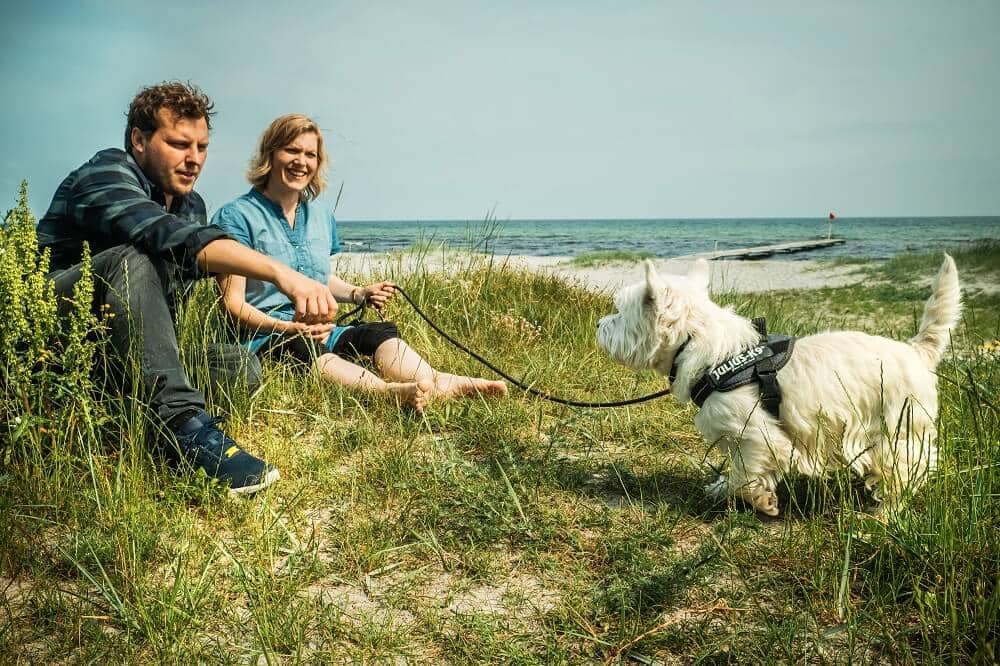 mennesker og strand og hund