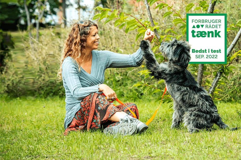 Hundeejer med Bedst i test hundeforsikring i TJM